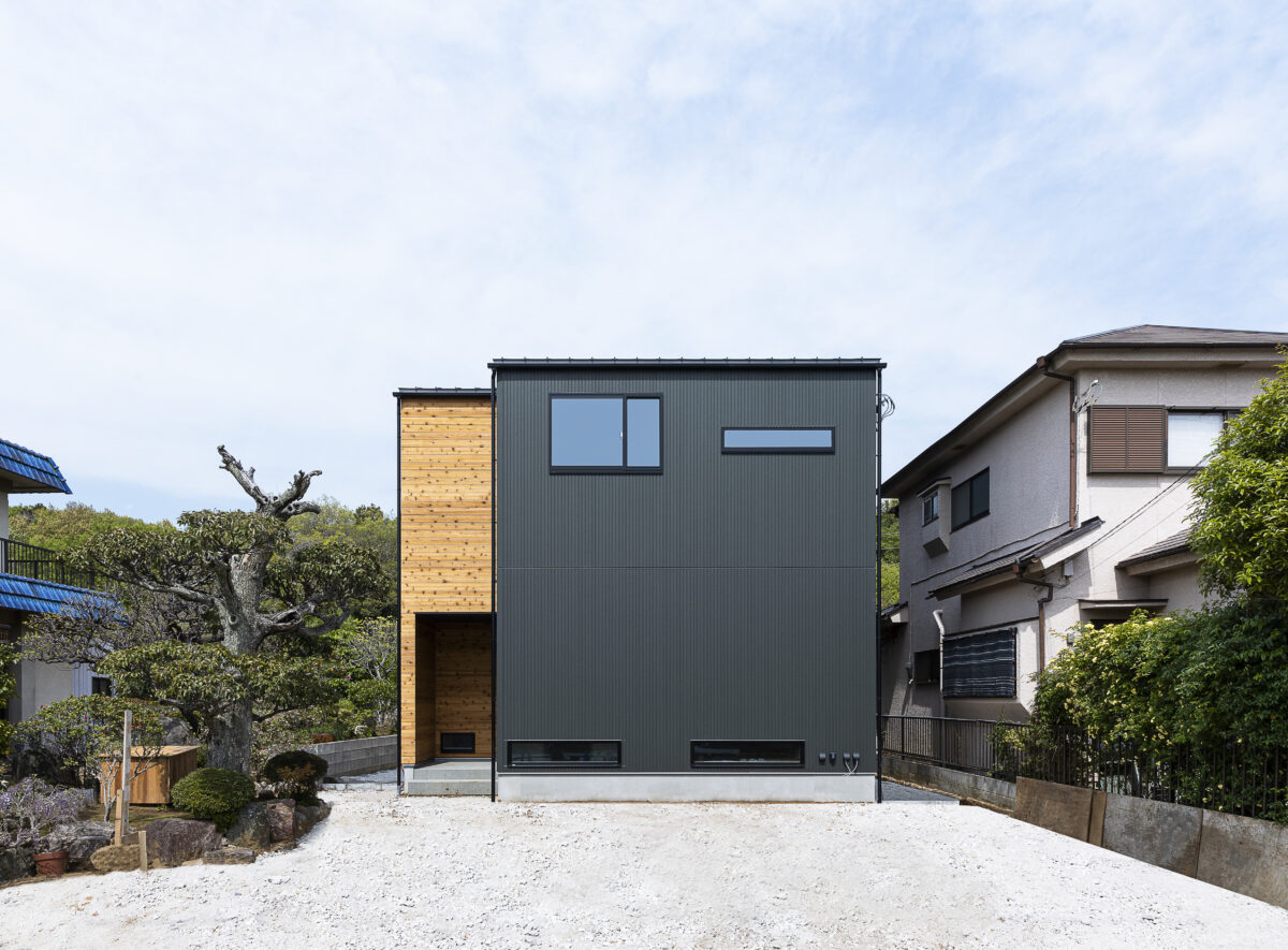 ねこと、わたしと、日常と