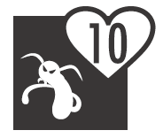 白アリ10年保証